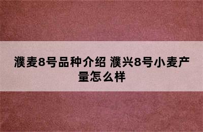 濮麦8号品种介绍 濮兴8号小麦产量怎么样